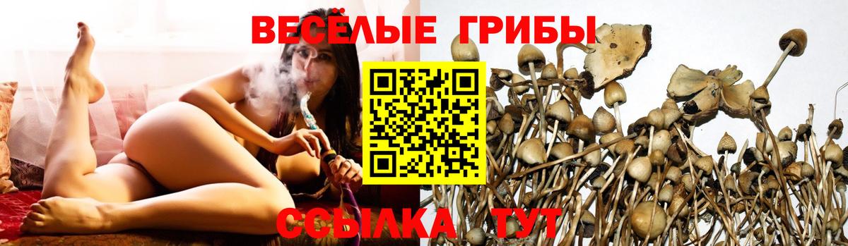 Луга  Галлюциногенные грибы мухоморы  Галлюциногенные грибы Psilocybine cubensis  Вход с VPN 
